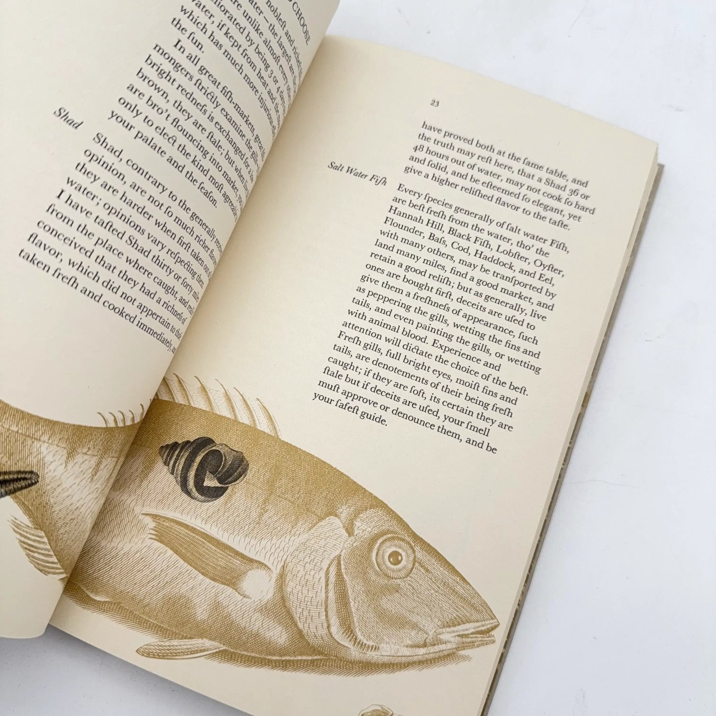 "American Cookery" by Amelia Simmons — First known cookbook written by an American