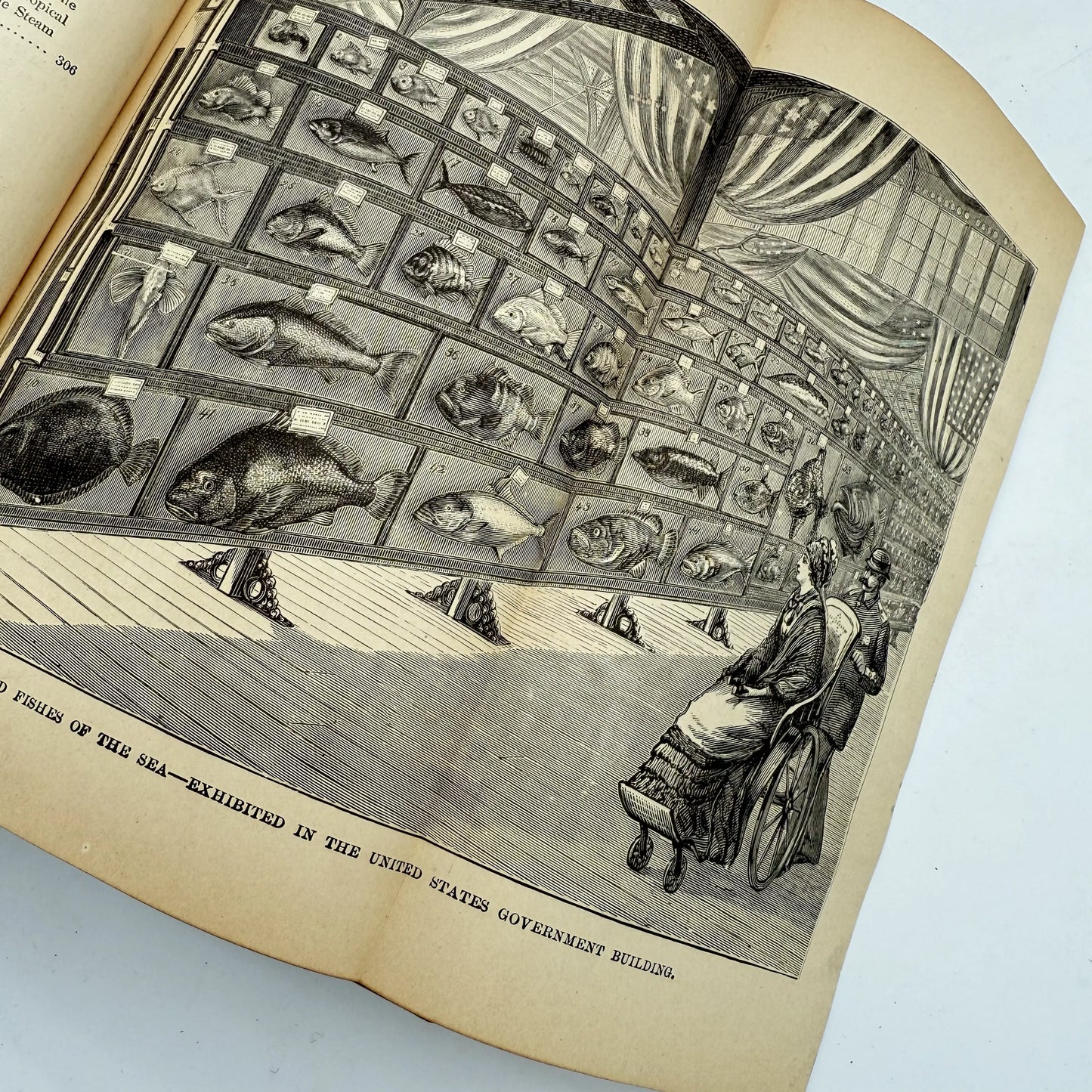 "The Illustrated History of the Centennial Exhibition" by James McCabe