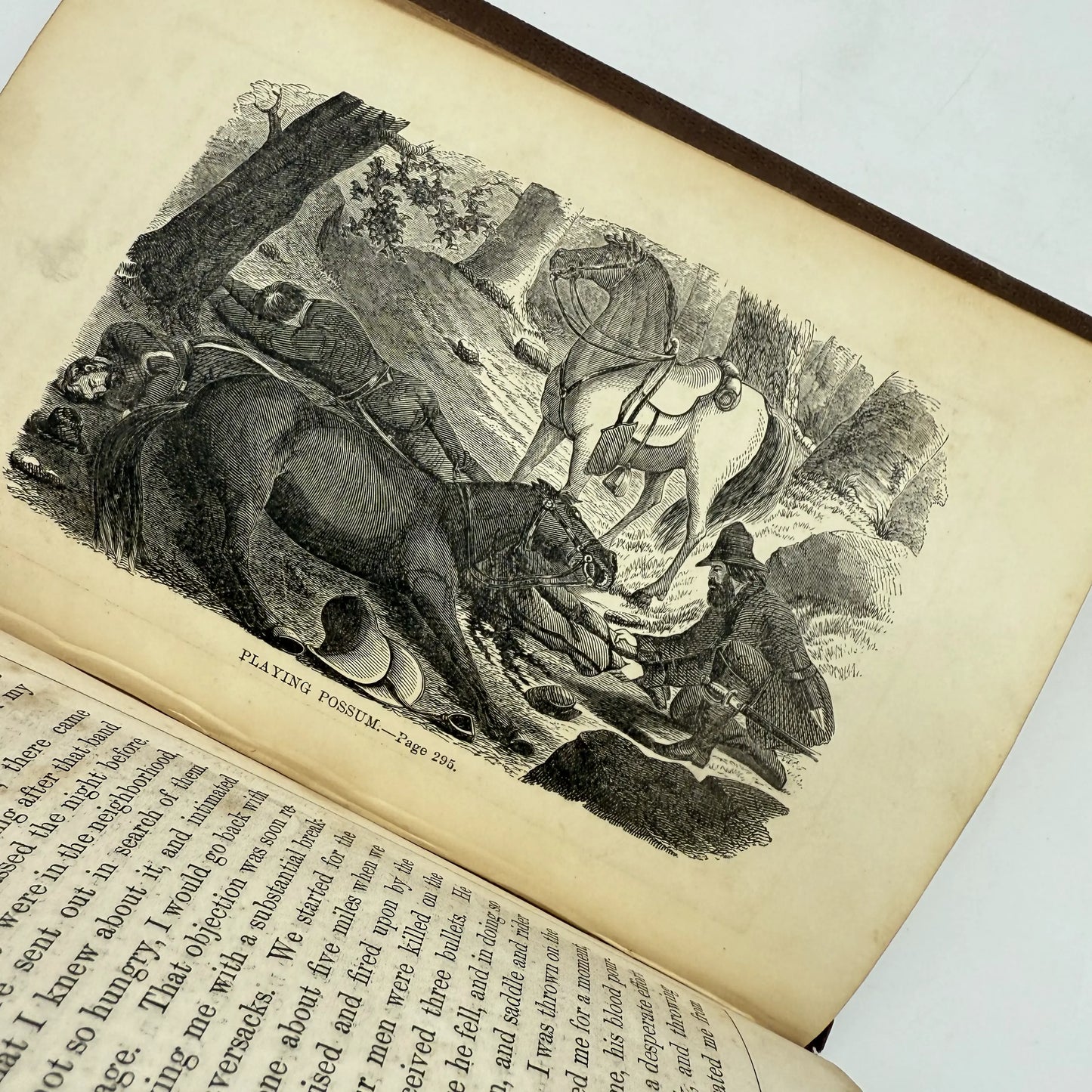 Nurse and Spy in the Union Army — S. Emma E. Edmonds — 1865