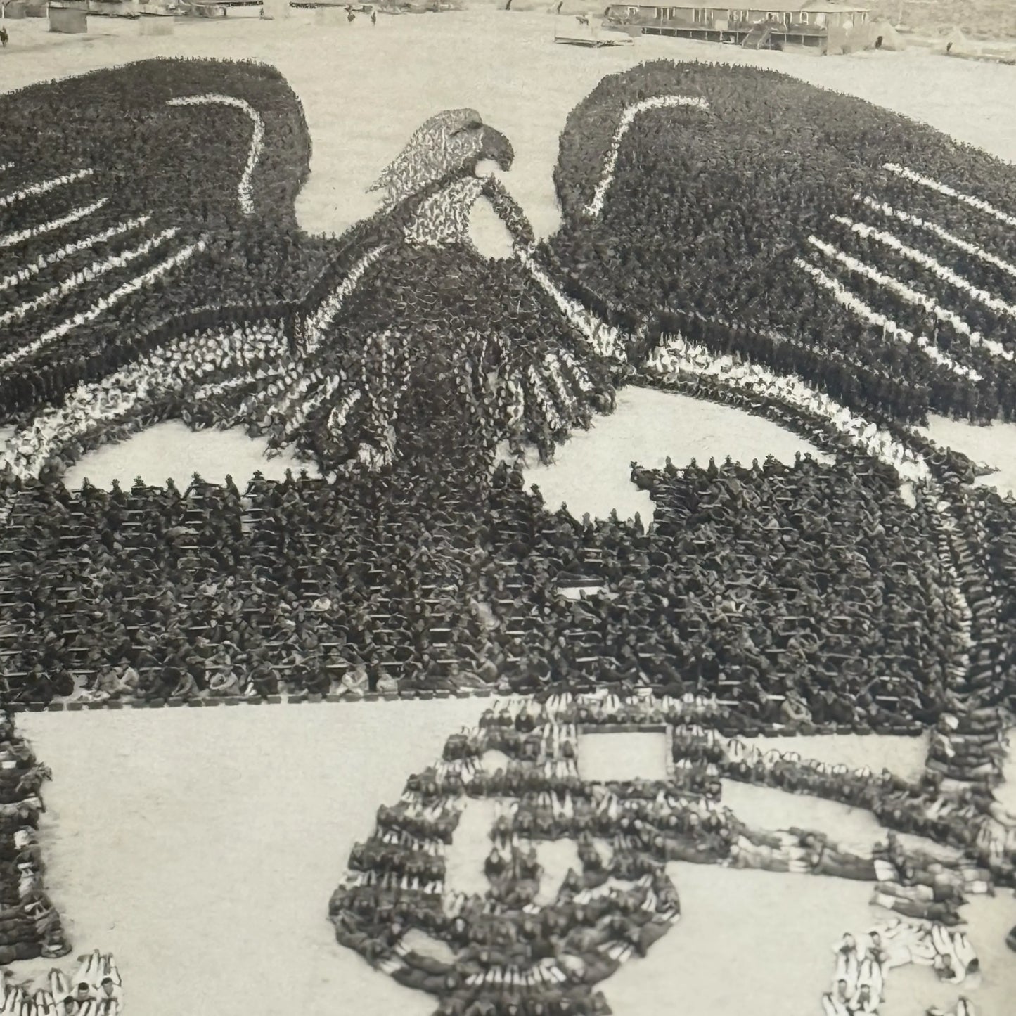 Close up of the WWI "Machine Gun Insignia" original photograph with 22,500 officers and men alongside 600 machine guns — 1918 from The History List Store.