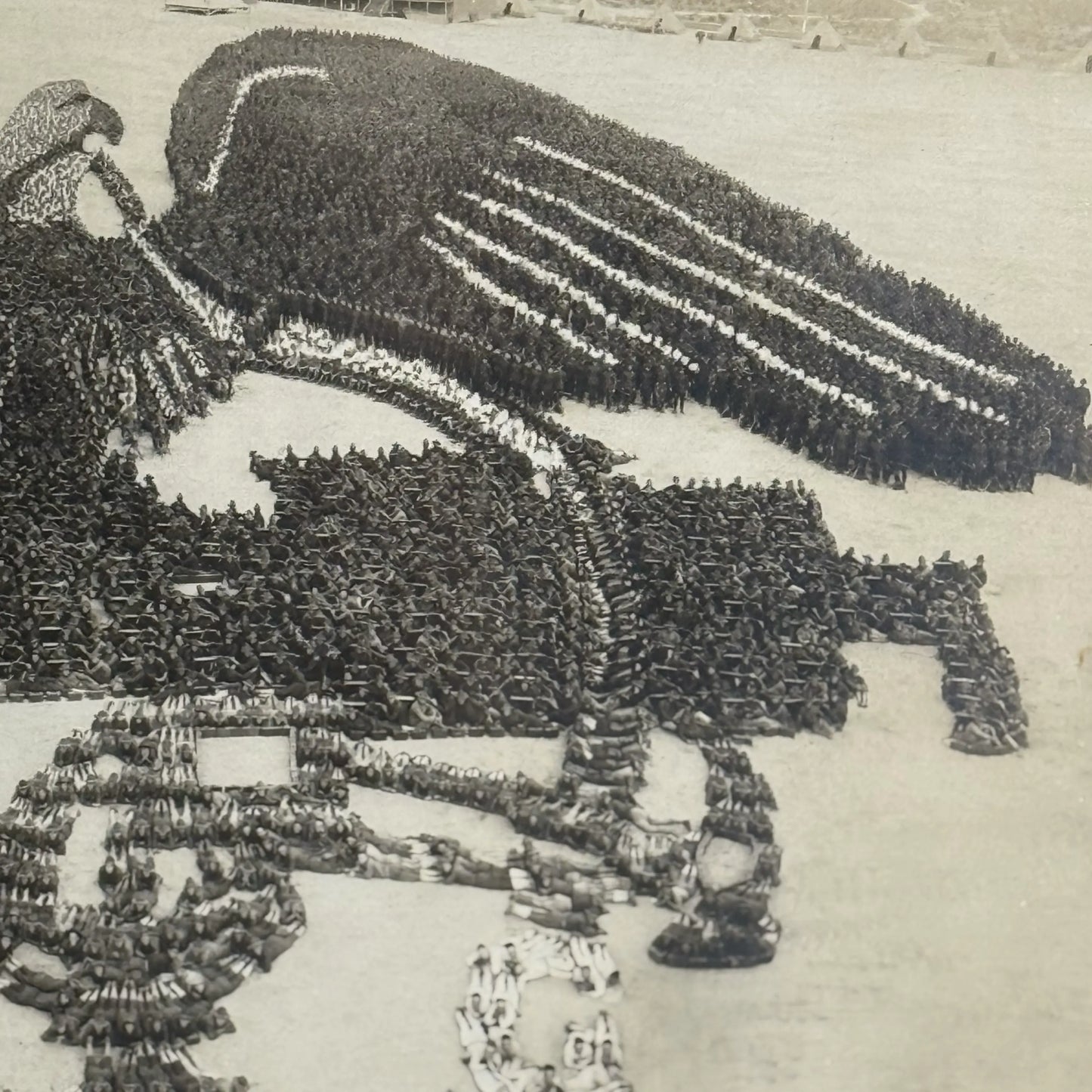 WWI "Machine Gun Insignia" original photograph with 22,500 officers and men alongside 600 machine guns — 1918