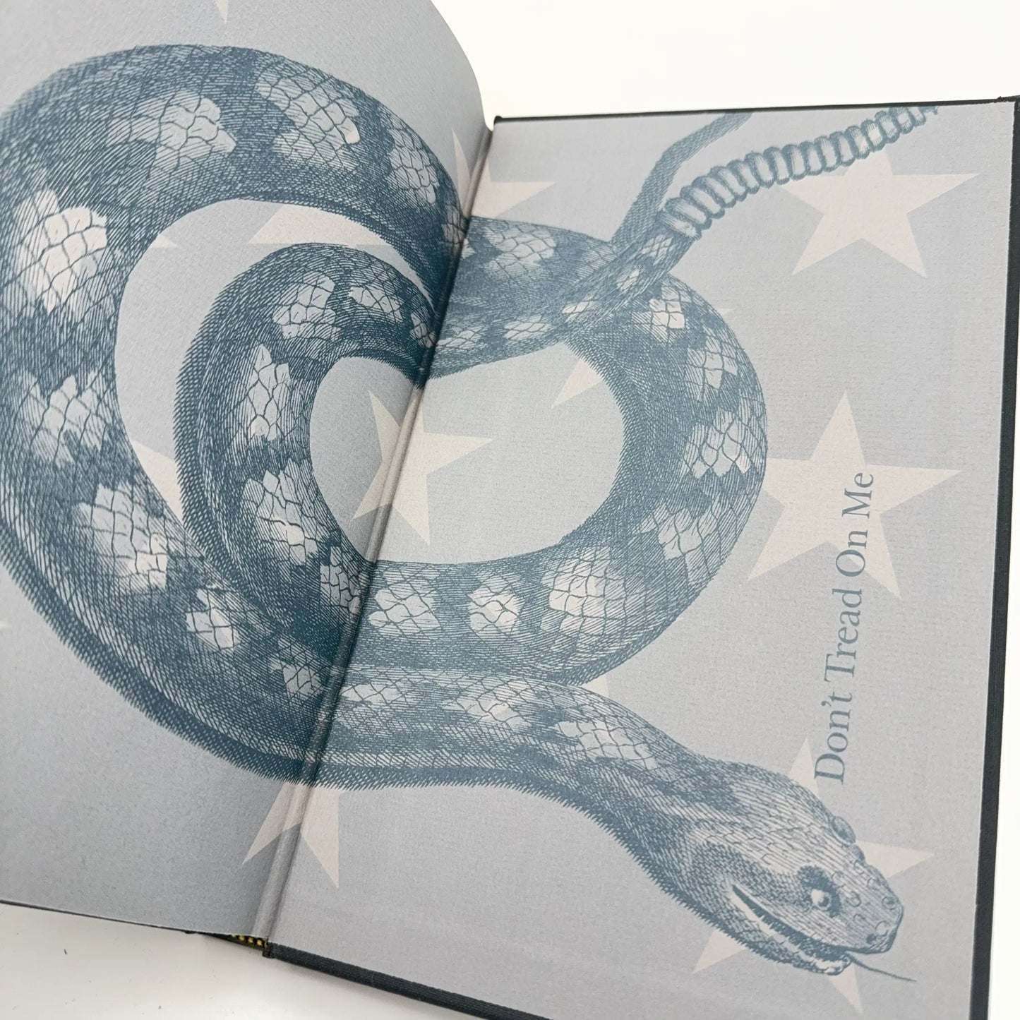 "A Young Patriot in the American Revolution" by John Greenwood