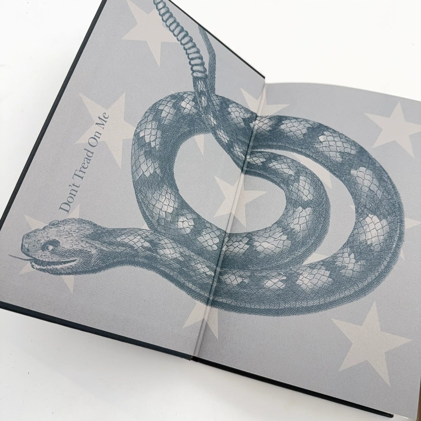 "A Young Patriot in the American Revolution" by John Greenwood