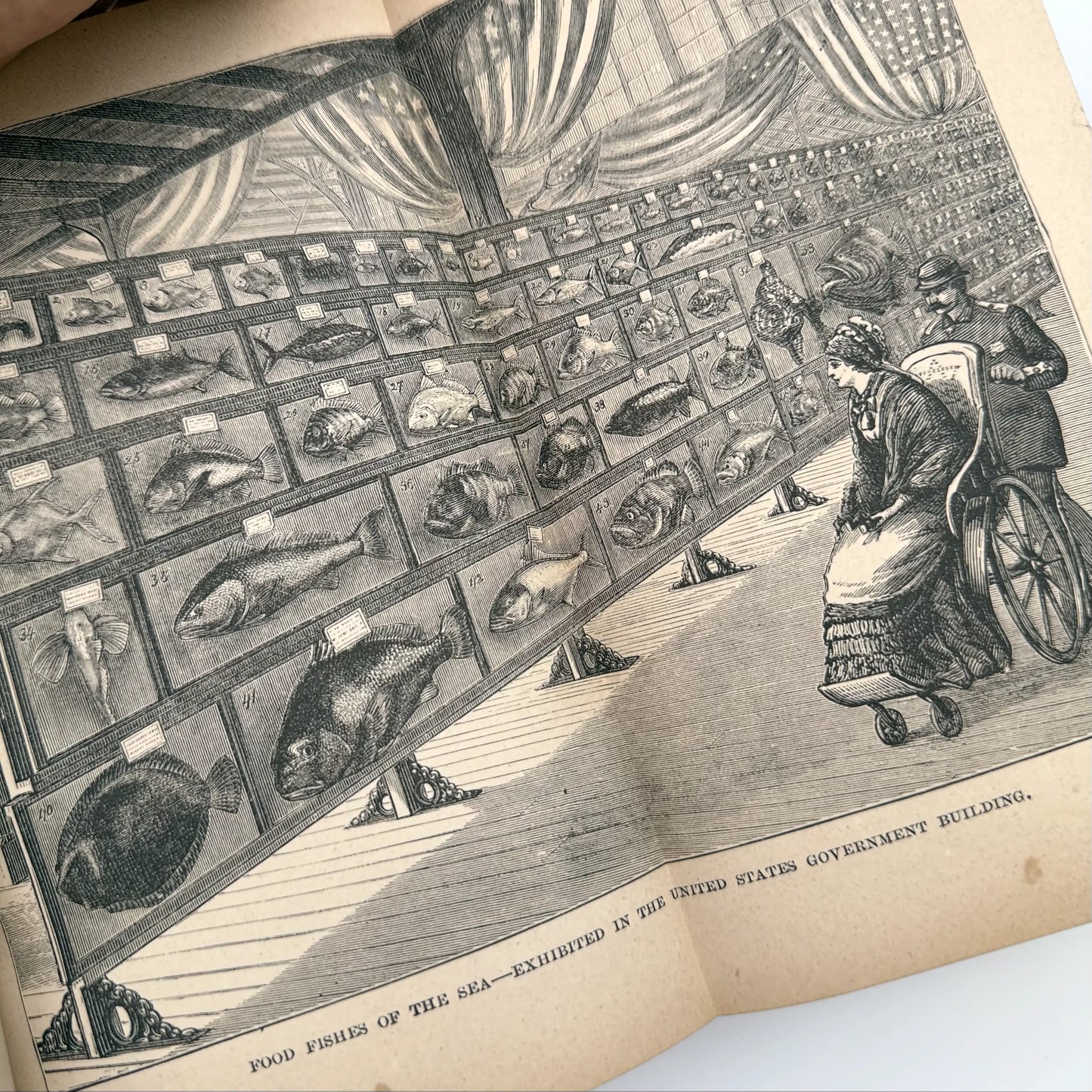 1876 "History of the Centennial Exhibition" by James D. McCabe — Two available