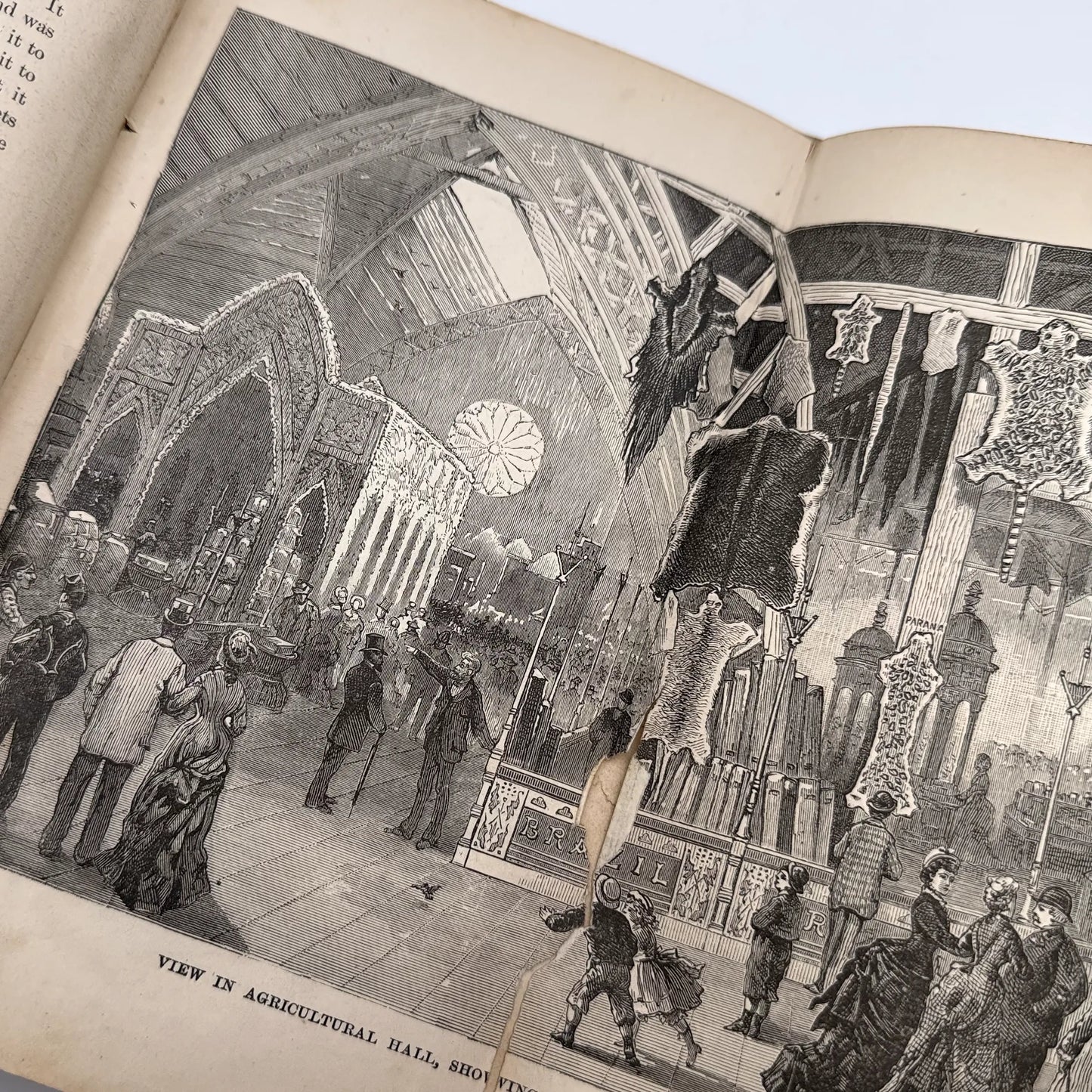 1876 "History of the Centennial Exhibition" by James D. McCabe — Two available