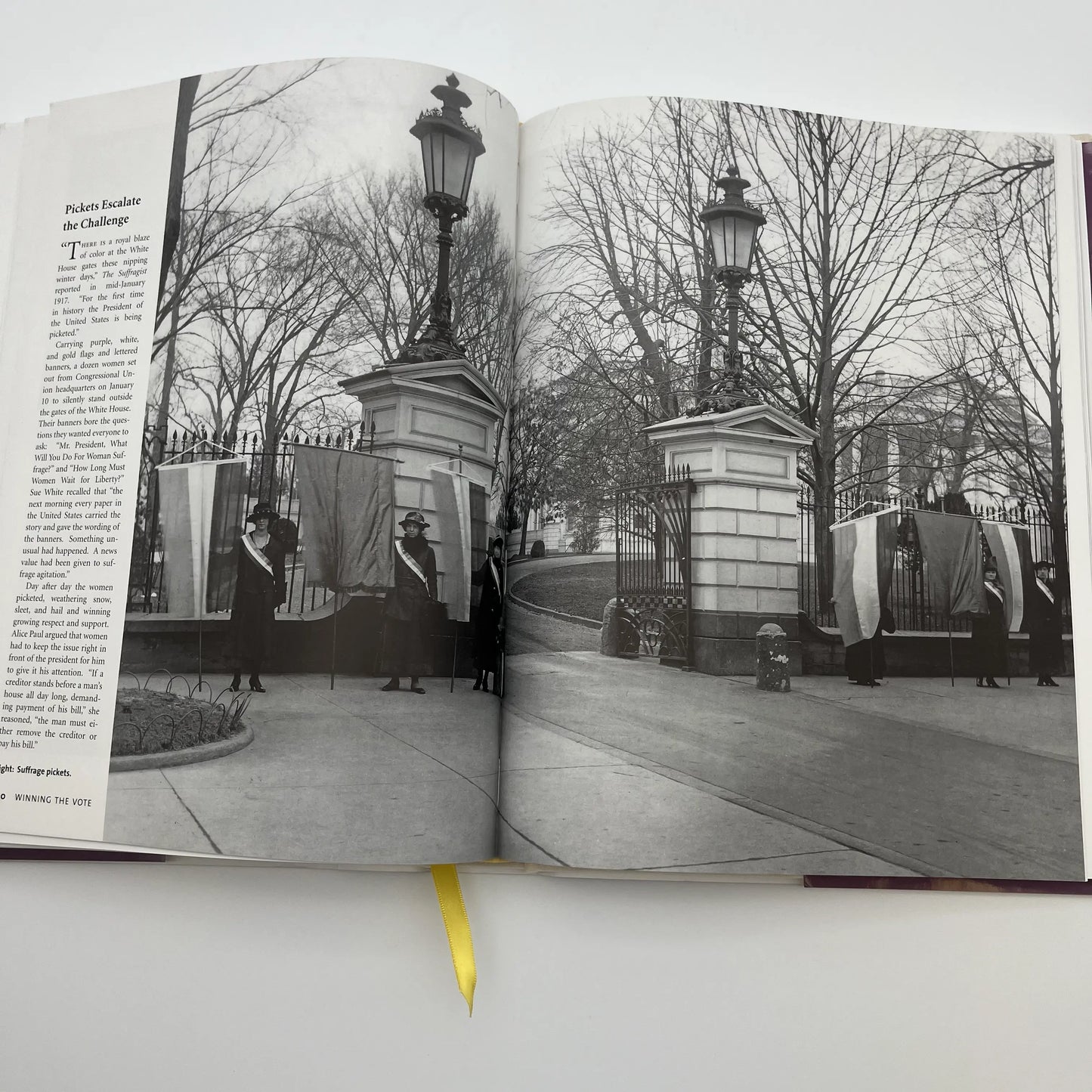 "Winning the Vote: The Triumph of the American Woman Suffrage Movement" — Signed and inscribe by Robert P. J. Cooney, Jr.