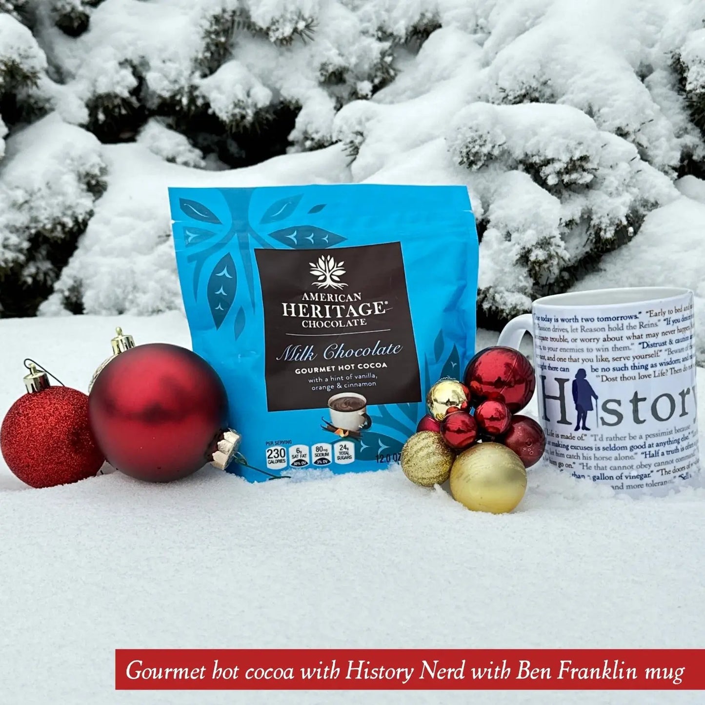 Heritage Gourmet Hot Cocoa and History Nerd mug for History Lovers from The History List store