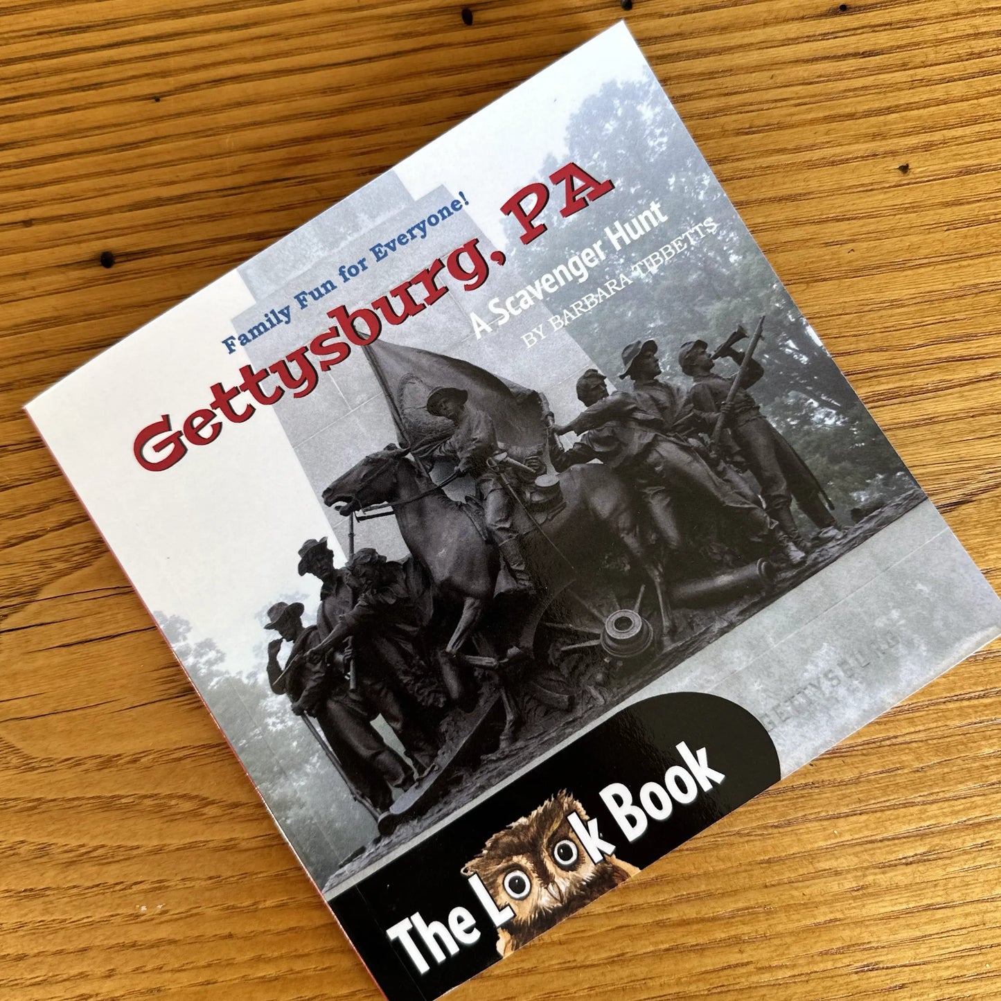 The LOOK Book "Gettysburg, PA: A Scavenger Hunt" by Barbara Tibbetts