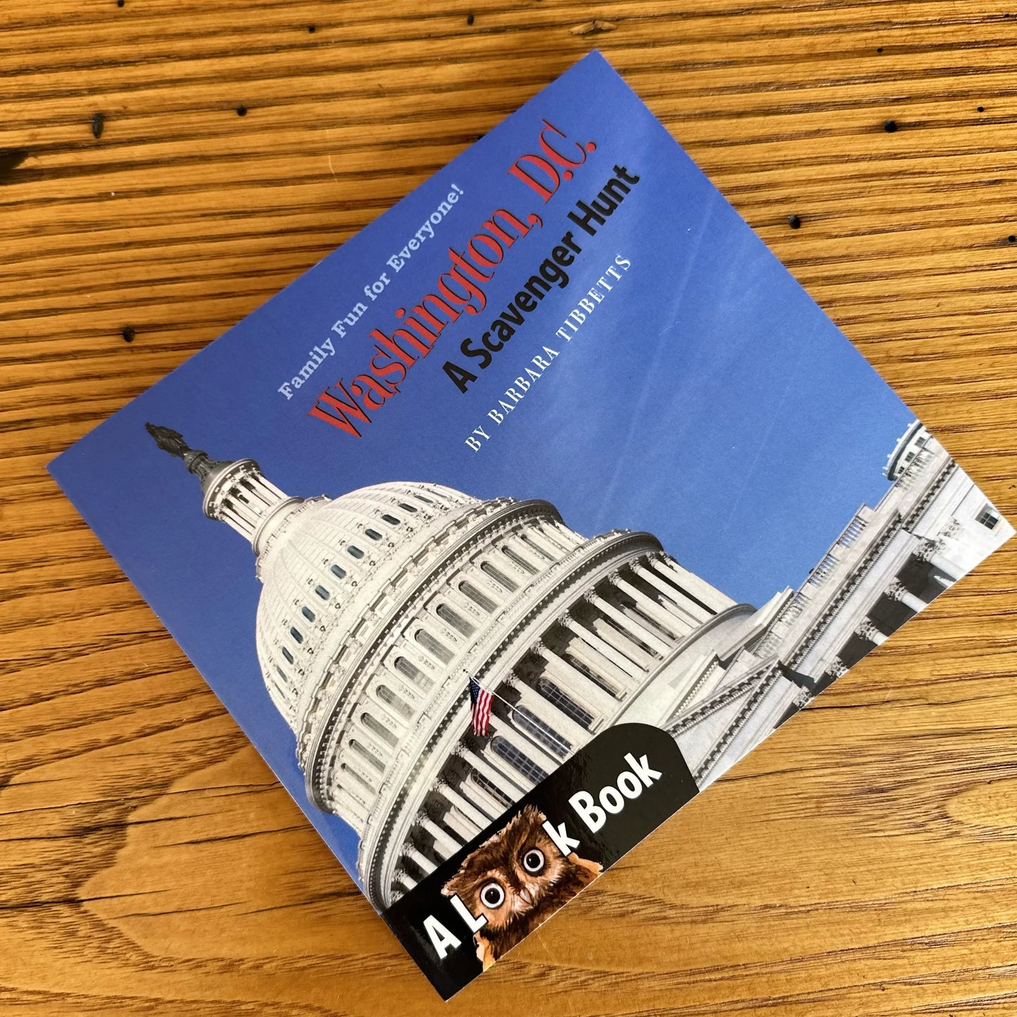 The LOOK Book "Washington, DC: A Scavenger Hunt" by Barbara Tibbetts