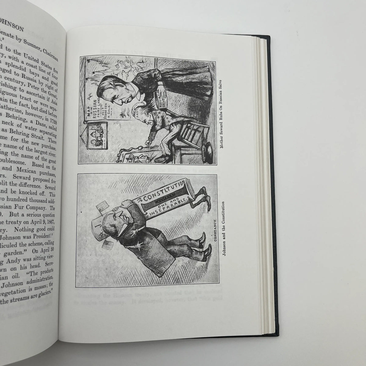 "Andrew Johnson: Plebeian and Patriot" by Robert W Winston - Leather-bound, gilt-edged Easton Press edition