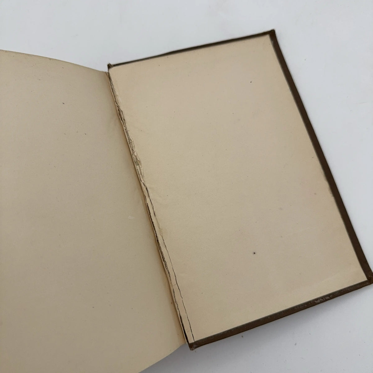 "Manual of the Constitution of the United States" by Israel Ward Andrews — 1887
