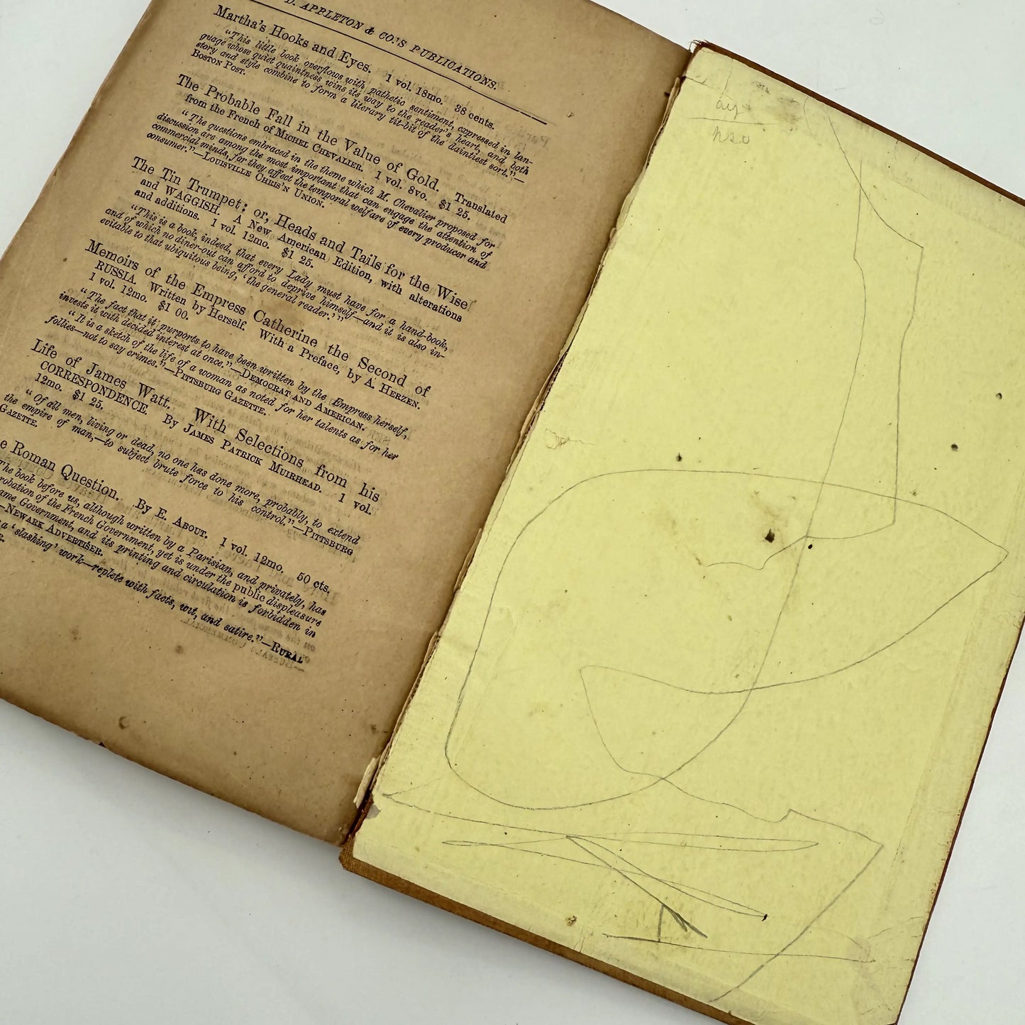 "Appletons' Illustrated Hand-Book of American Travel" by Thomas Addison Richards — 1880