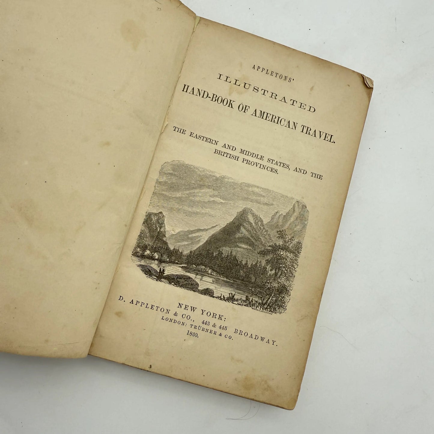 "Appletons' Illustrated Hand-Book of American Travel" by Thomas Addison Richards — 1880