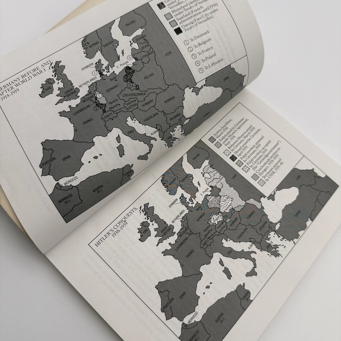 "The Nazi Revolution" by Allan Mitchell