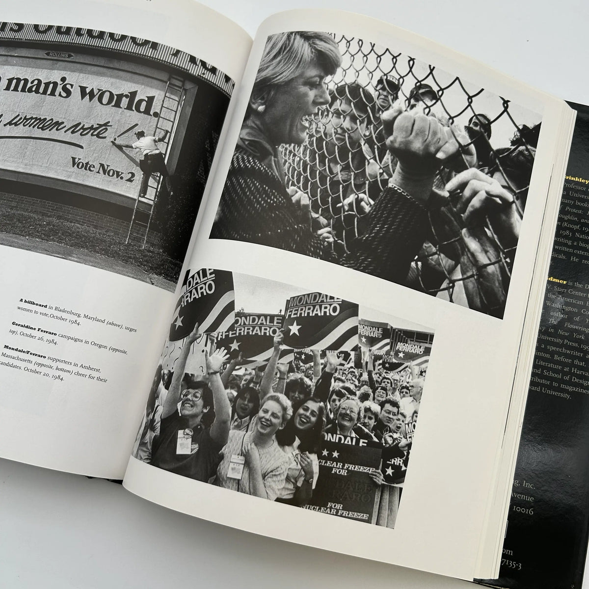 The New York Times "Campaigns: A Century of Presidential Races" by Ted Widmer