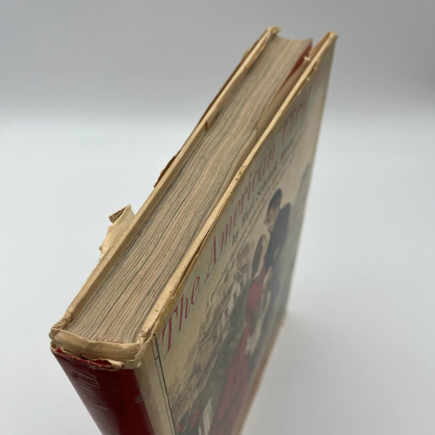 "The American Civil War" by Earl Schenck Miers