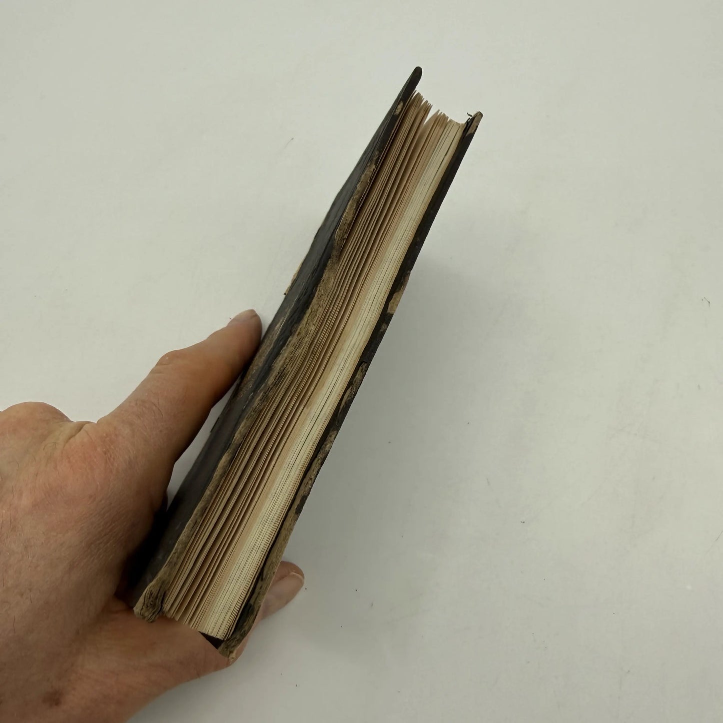 1876 Centennial Exhibition Book Bundle