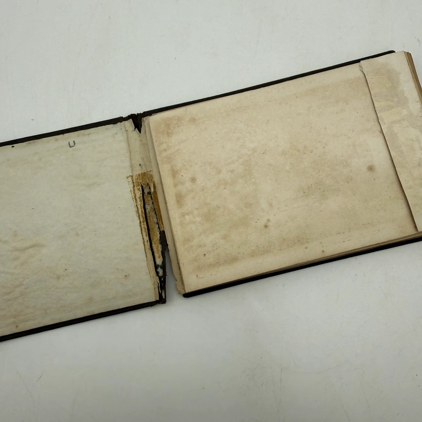 1876 Centennial Exhibition Book Bundle