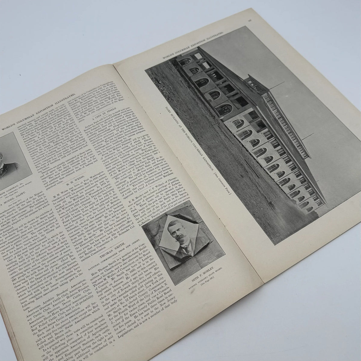 The World's Columbian Exposition Illustrated