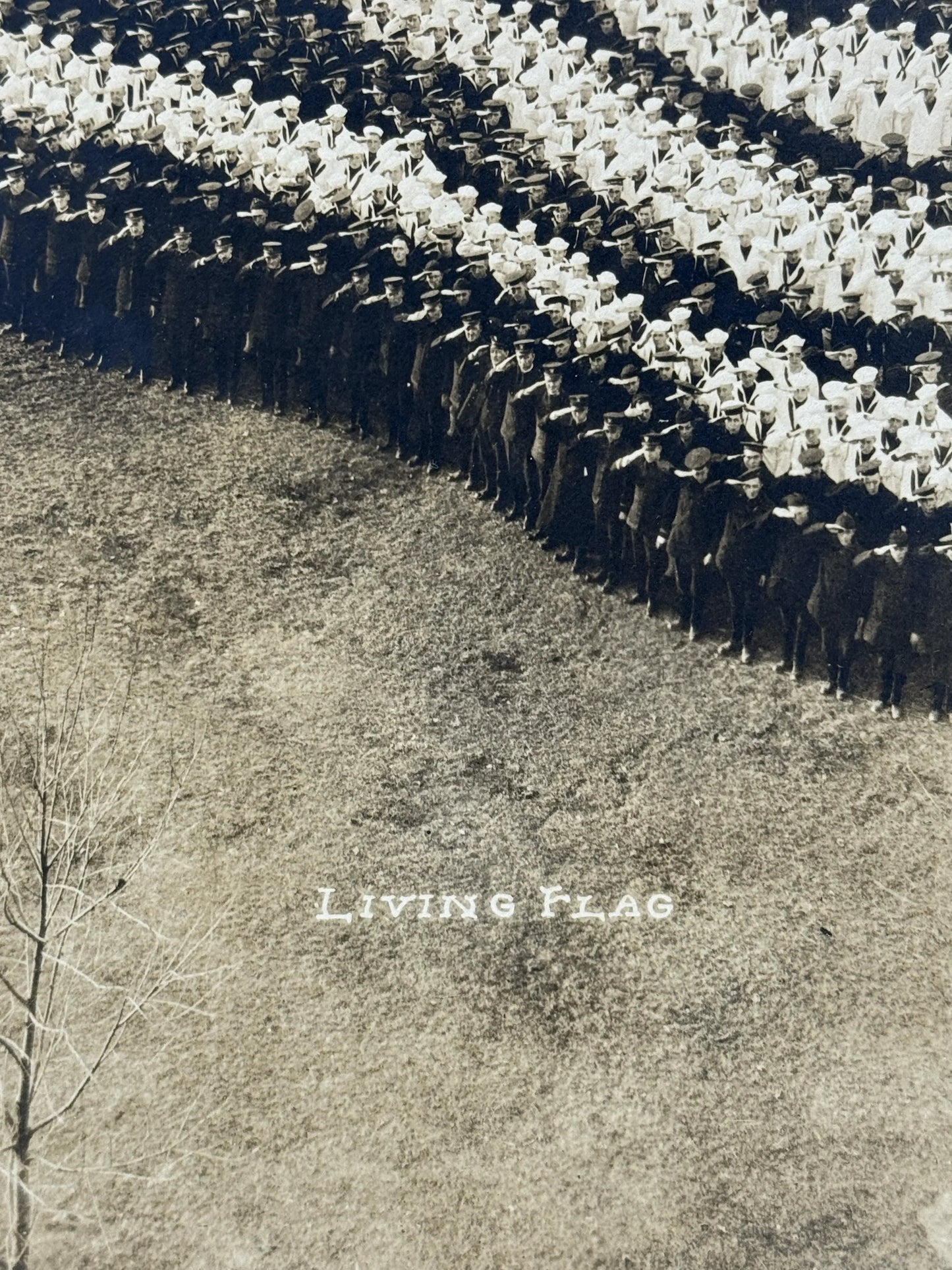 "Living Flag" original photograph with 10,000 sailors — 1917