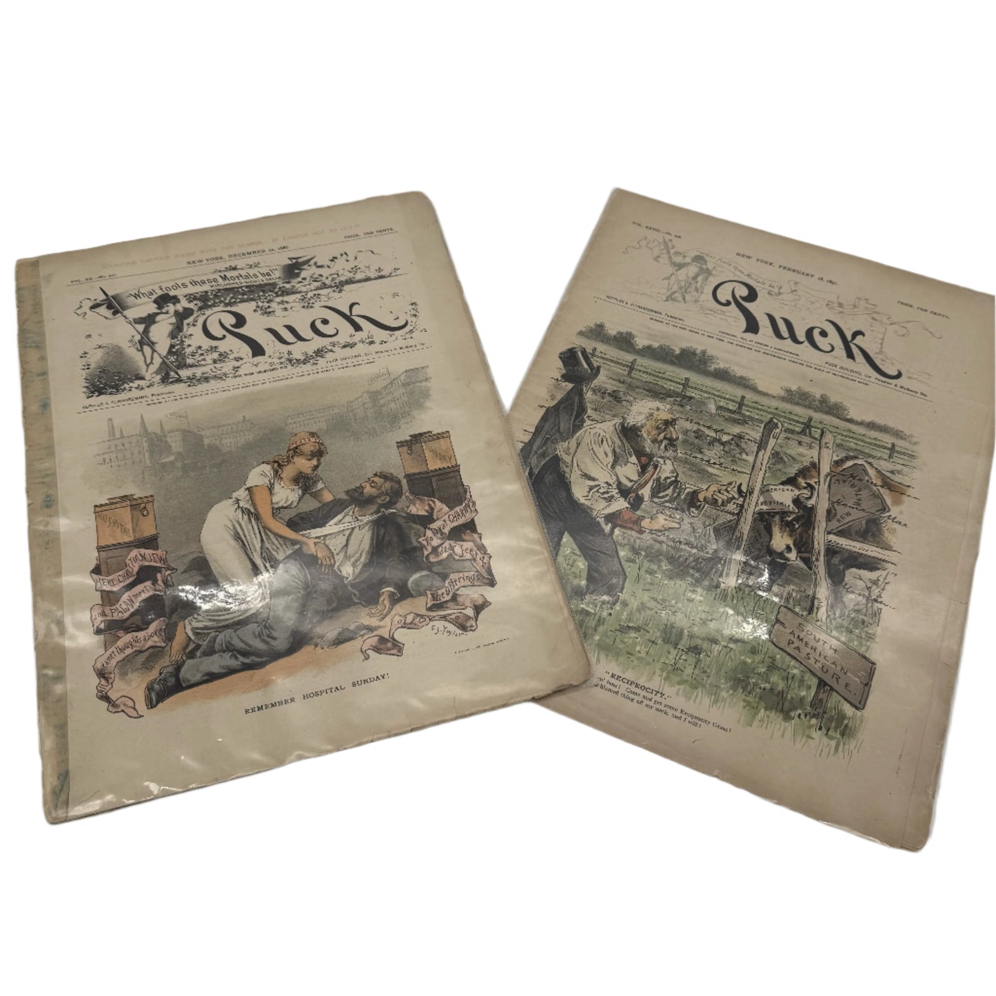 "Puck" and "Judge" Magazines — 1881 - 1905 — Fourteen issues in an archival box