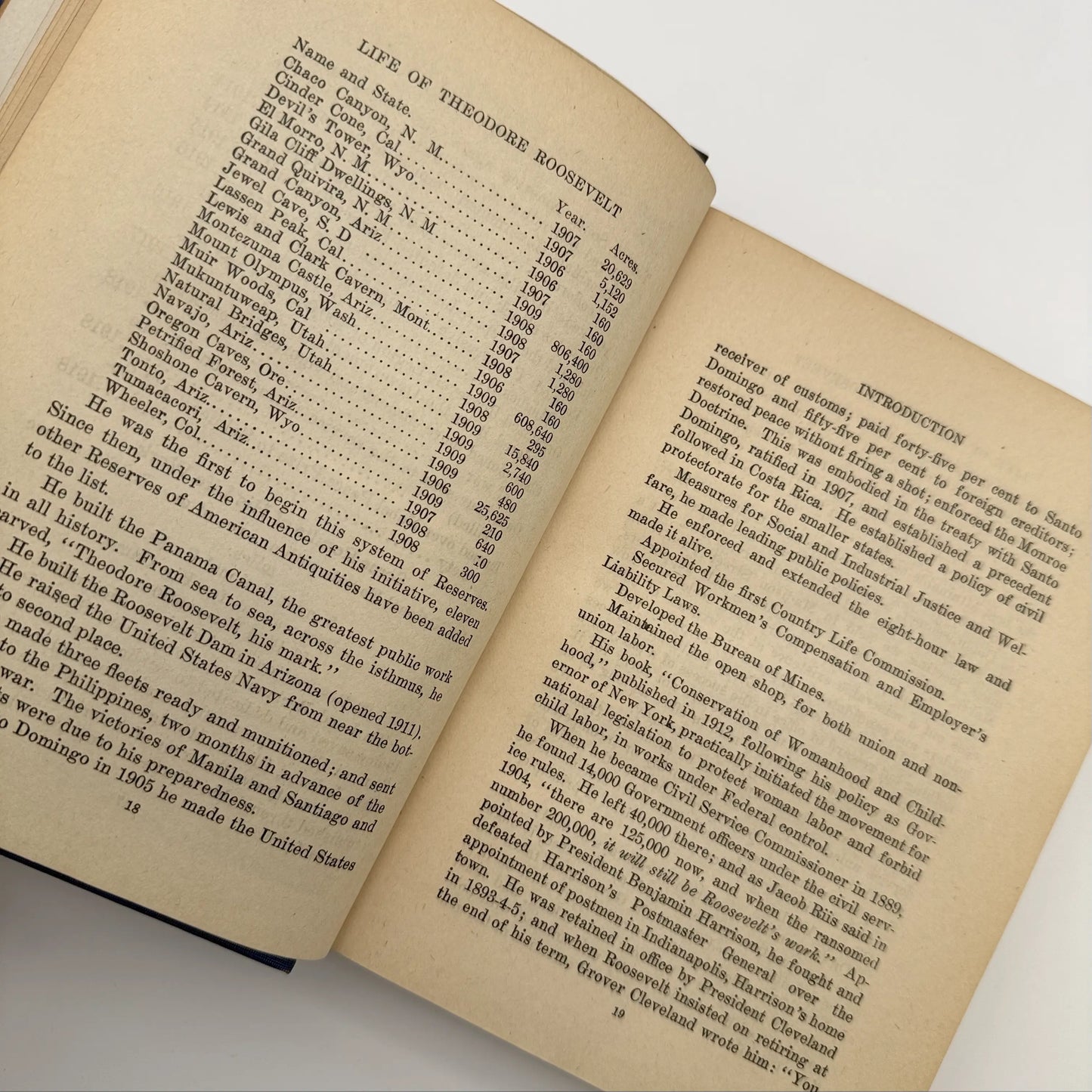 "The Life and Work of Theodore Roosevelt" by Thomas H. Russell — First edition — 1919
