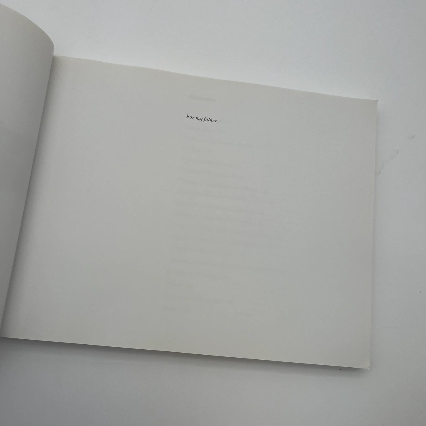 "Texas Flags"— Published in association with the Museum of Fine Arts, Houston