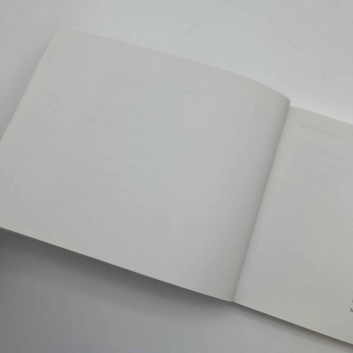 "Texas Flags"— Published in association with the Museum of Fine Arts, Houston