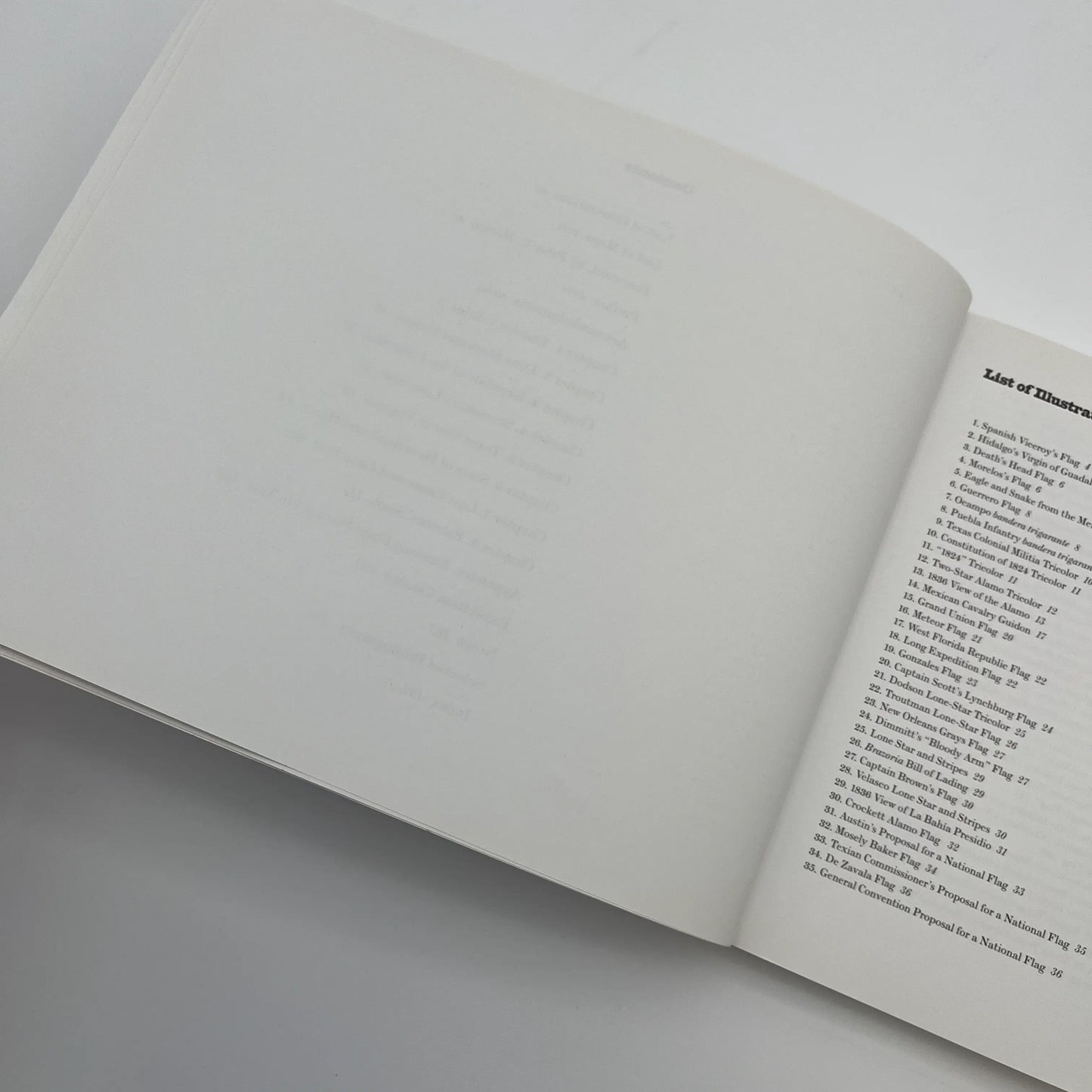 "Texas Flags"— Published in association with the Museum of Fine Arts, Houston
