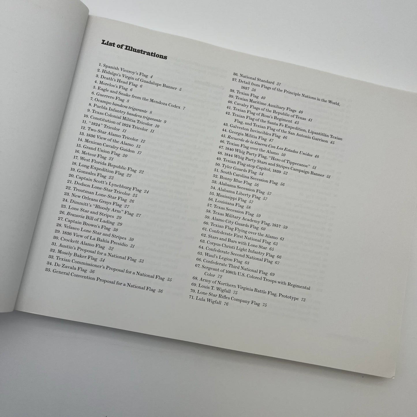 "Texas Flags"— Published in association with the Museum of Fine Arts, Houston