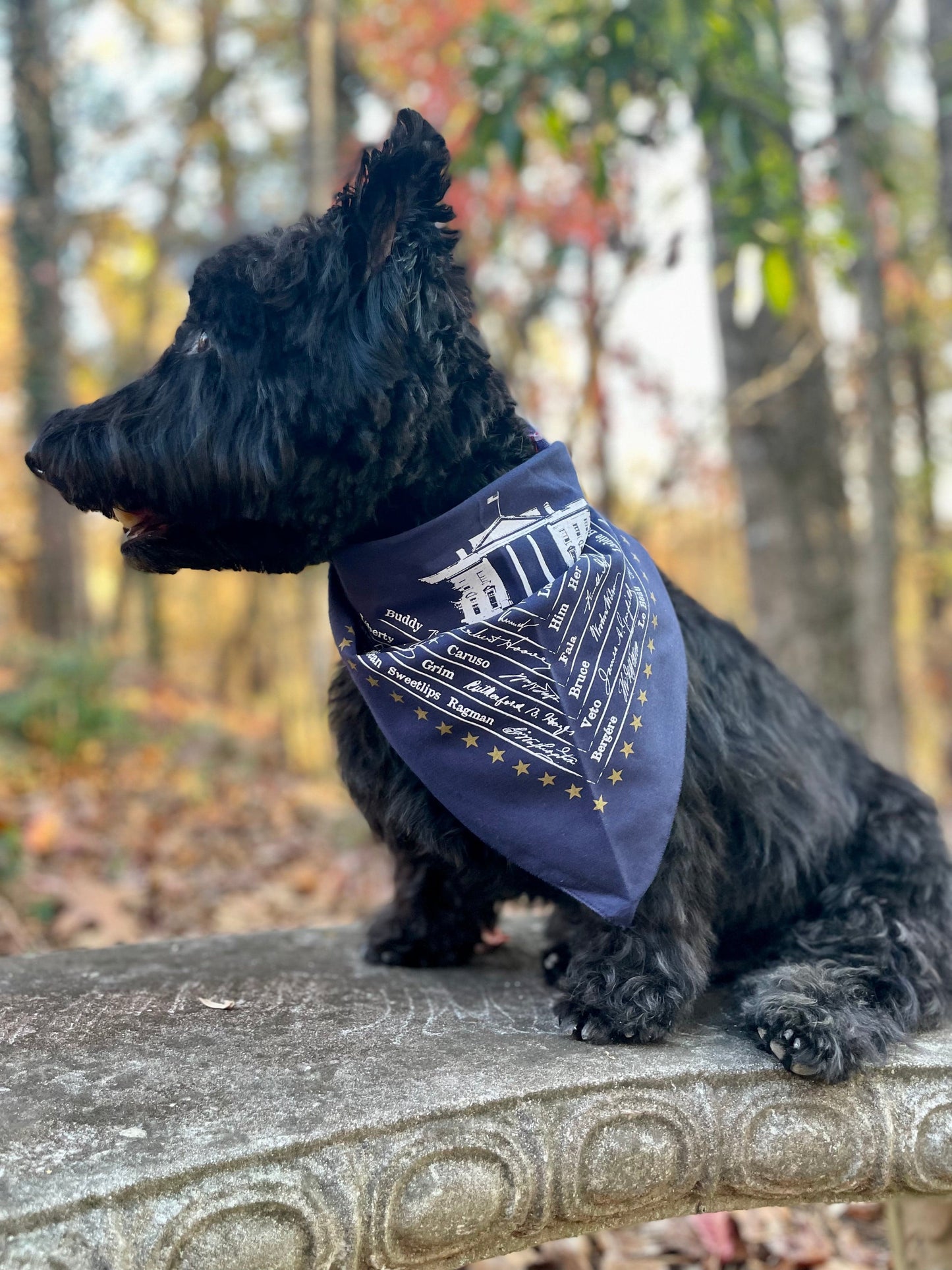 Presidential Dog Bandana — Made in the USA