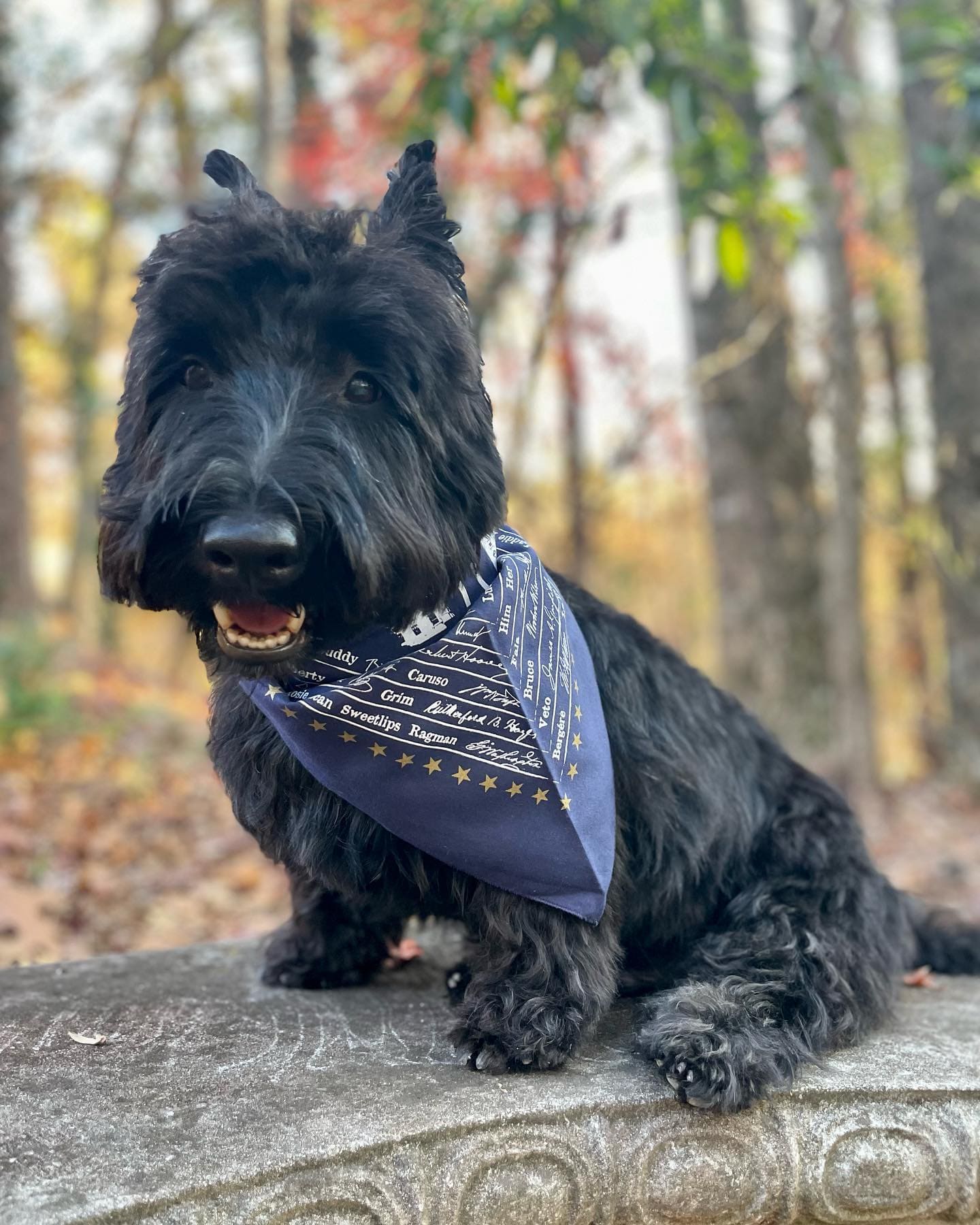 Presidential Dog Bandana — Made in the USA